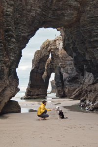 chien-playa-as-catedrais