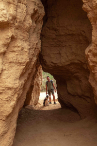 visite-canyon-las-bardenas-chien