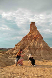 Castildetierra-chien-instagram