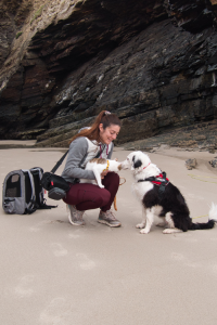 chien-chat-plage-las-catedrales