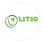logo litio store