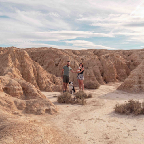 désert-bardenas-chien-chat