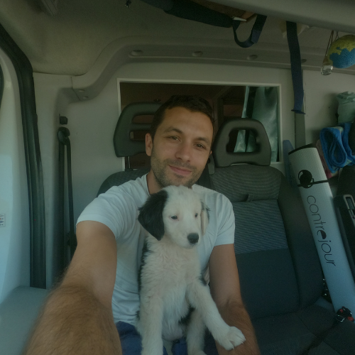 chiot nomade dans un véhicule