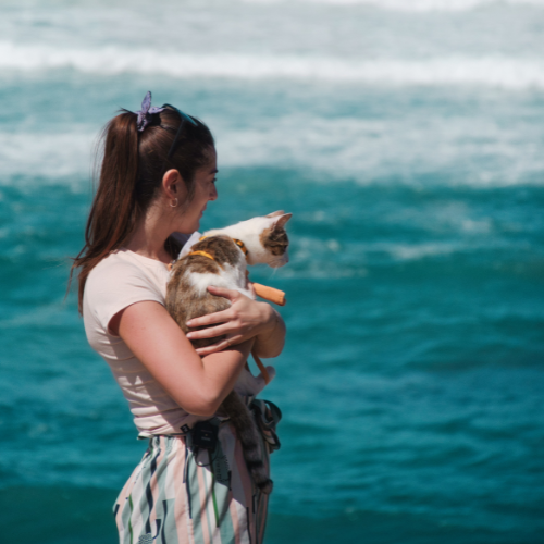 chat à la plage amoreira