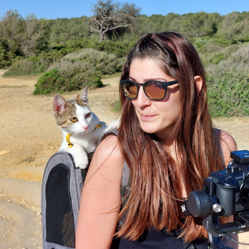 chat dans un sac qui voyage