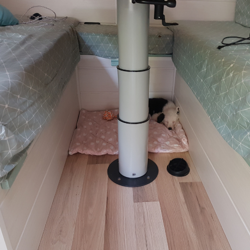 chiot qui dort dans un fourgon aménagé