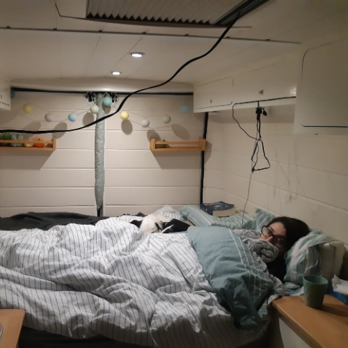 chien dans un lit de fourgon