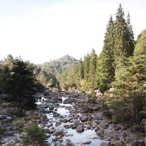 rivière du parc national de peneda gerês
