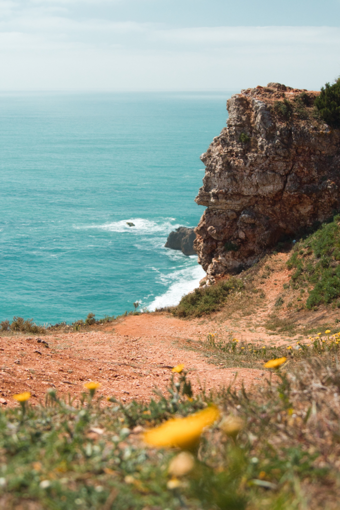 point de vue vague nazaré