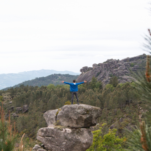 vue de la foret de peneda gerês