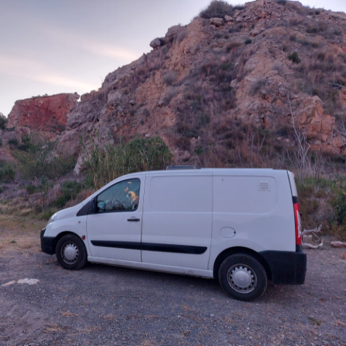 spot dodo park4night portugal