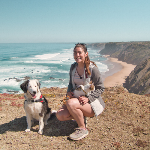 chien et chat voyagent au portugal