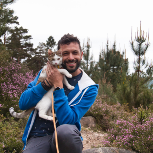 chat dans le parc gerês